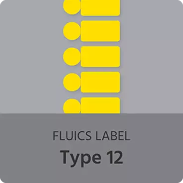 FLCS-LT12-2000